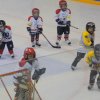 2011 - U7 - Tournoi du 23-10-2011 - Partie 2